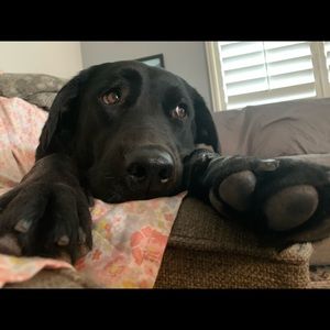 Meet your Posher, Jessica